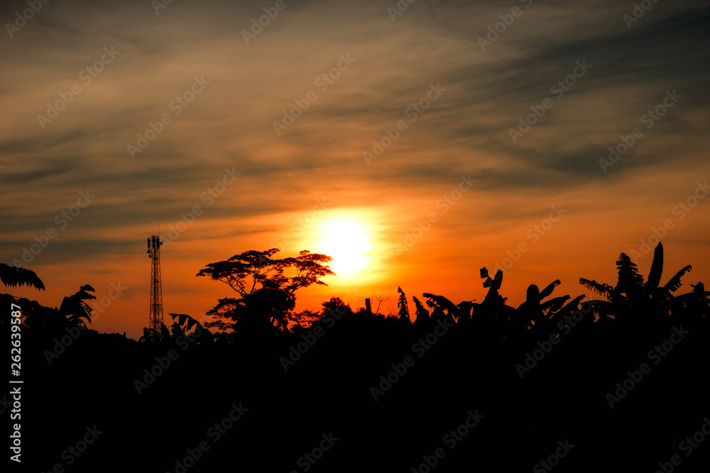Beautiful sunrise with trees and tower silhouette