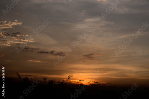 Beautiful sunrise with trees and tower silhouette