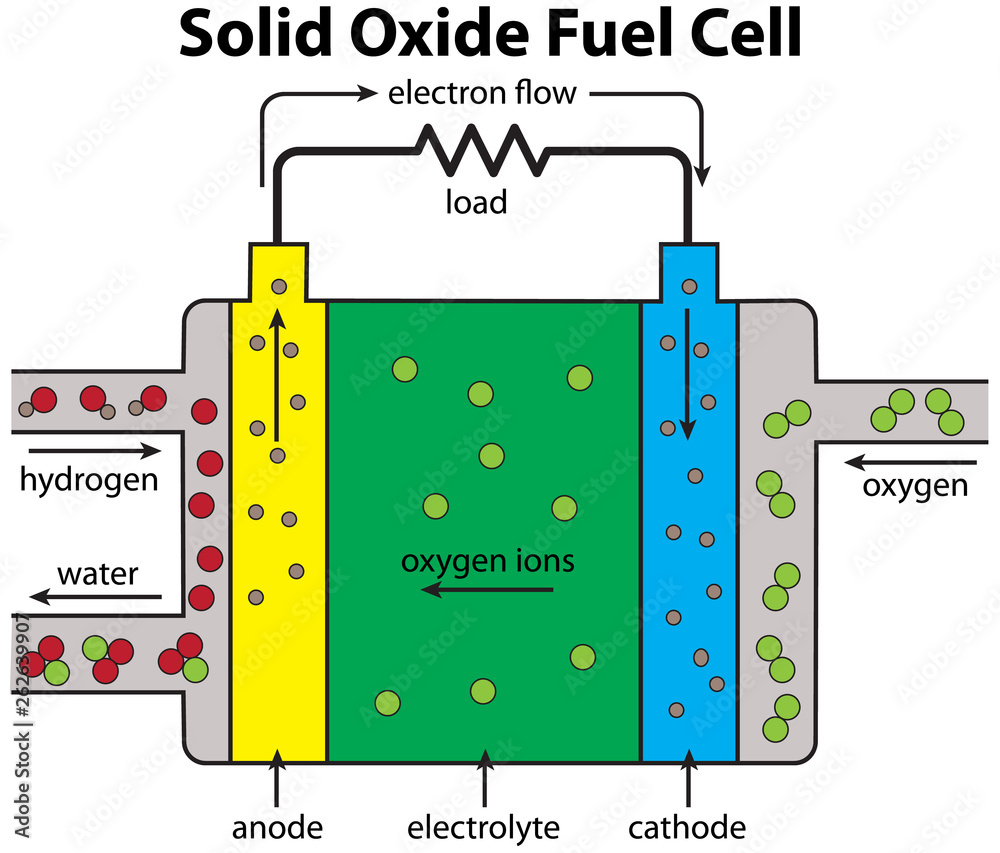 Fuel Cell Solid Oxide Diagram Stock Vector Adobe Stock