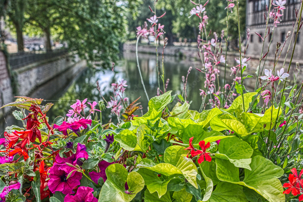 Dieses einzigartige Foto zeigt schöne Blumen auf einer Brücke. man erkennt ein Fachwerkhaus und im Hintergrund den Kanal.