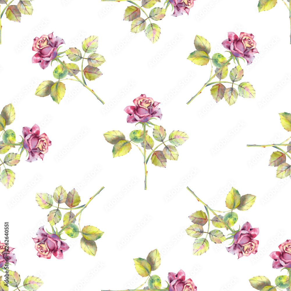 Fototapeta premium Seamless pattern. Dark rose flowers, green leaves. Flower poster, invitation. Watercolor compositions for greeting card or invitation design.