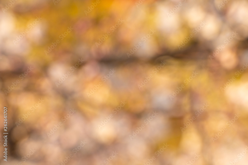 Green bokeh out of focus background from nature forest Green bokeh out of focus background from nature forest