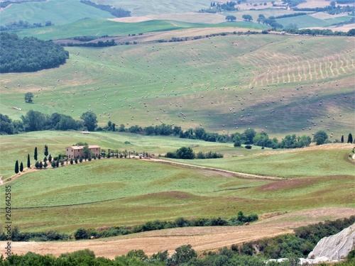 View of Fields (Tuscany, Italy)