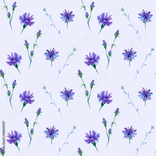 seamless watercolor pattern in light tints with chicory flower, wild plant