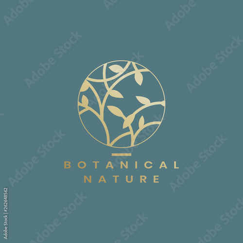 Botanical floral illustration