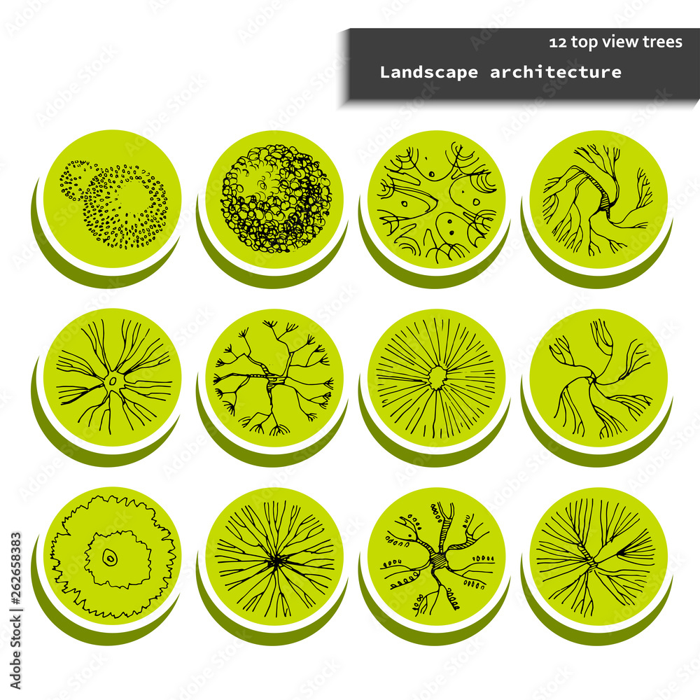 Top view vector set of different trees badges.Hand drawn illustration for landscape design, plan, maps.Collection of trees, isolated on the white background.Landscape architecture.