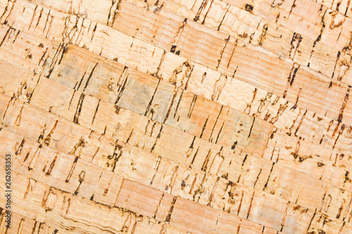 Natural cork bark texture for backgrounds