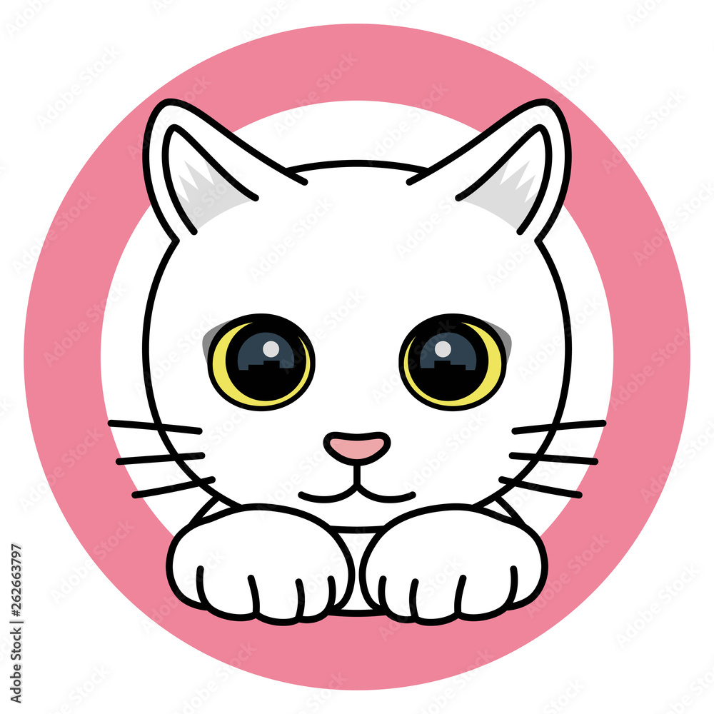 cat_white03