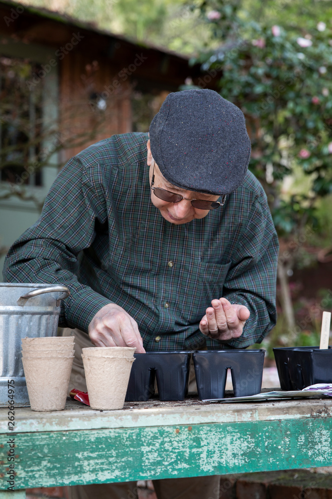 Senior citizen man planting seeds outdoors in garden Senior citizen man planting seeds outdoors in garden