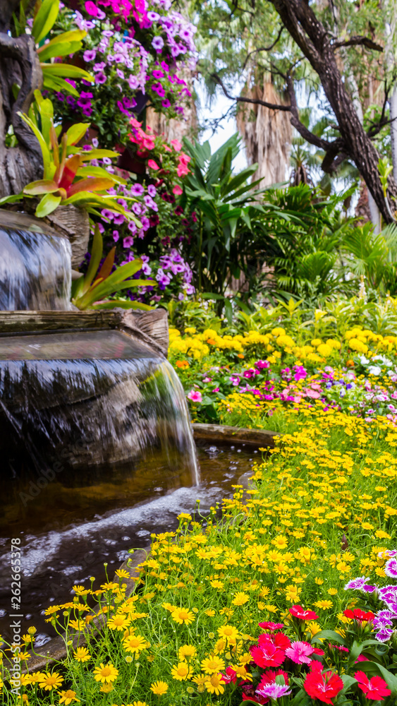 Waterfall flows and vivid flowers pot decoration in cozy home flower garden on summer.