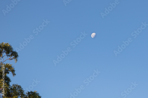 lua crescente no céu azul do dia