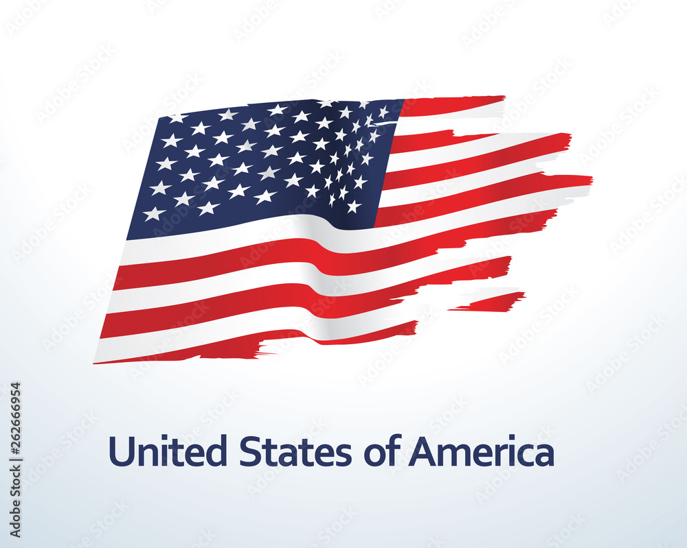 USA flag vector