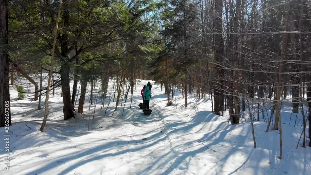 Family hikes through winter forest pulling sleighs Family hikes through winter forest pulling sleighs