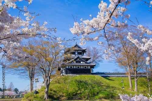 Takada castle in spring with cherry blossam in Niigata
