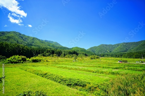 日本の夏の田園風景 © 沖 上田