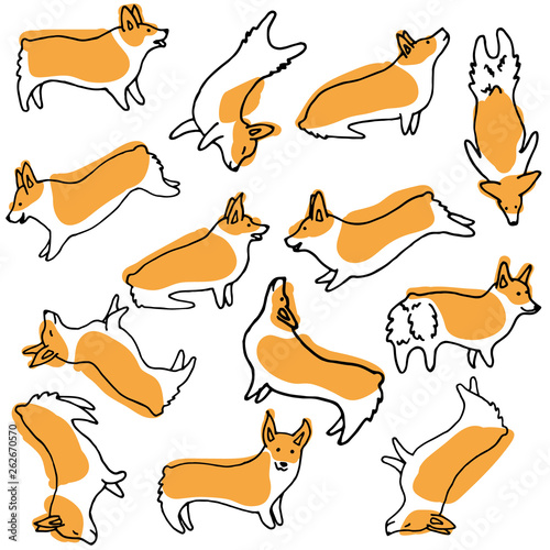 Welsh Pembroke Corgi breed dogs. Hand Drawn pen Doodle Set. Colored in Vector. Isolated on white