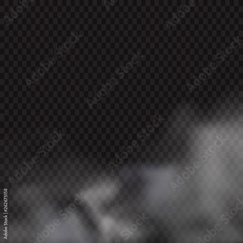 Fog or smoke isolated transparent special effect. White vector cloudiness, mist or smog background. Vector illustration - Vector