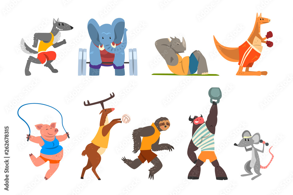 Animals doing exercise, kangaroo, hippo, wolf, elephant, pig, bull, sloth and deer in the gym, fitness and healthy lifest.yle vector Illustrations on a white background
