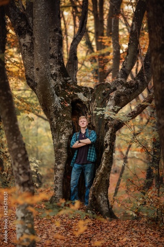 Redhead man in a plaid shirt and purple t-shirt stands with arms crossed in the trunk of a huge tree in the autumn forest. Autumn  travel and hiking concept.
