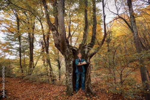 Redhead man in a plaid shirt and purple t-shirt stands with arms crossed in the trunk of a huge tree in the autumn forest. Autumn, travel and hiking concept.