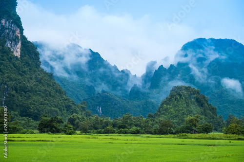 mist on the mountain