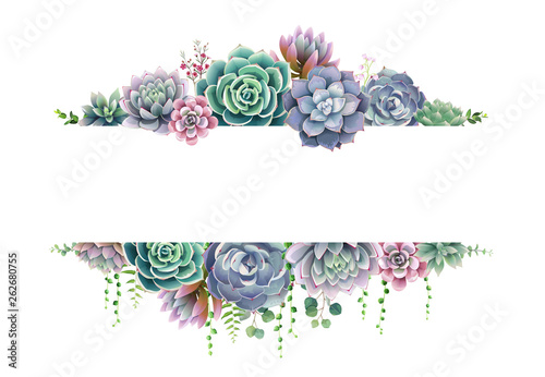 Greenery, succulent and branches frame border on white background. Beautiful template for invite or greeting card, banner. All elements are isolated and editable. photo