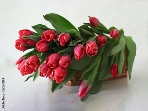 pink tulips in the basket