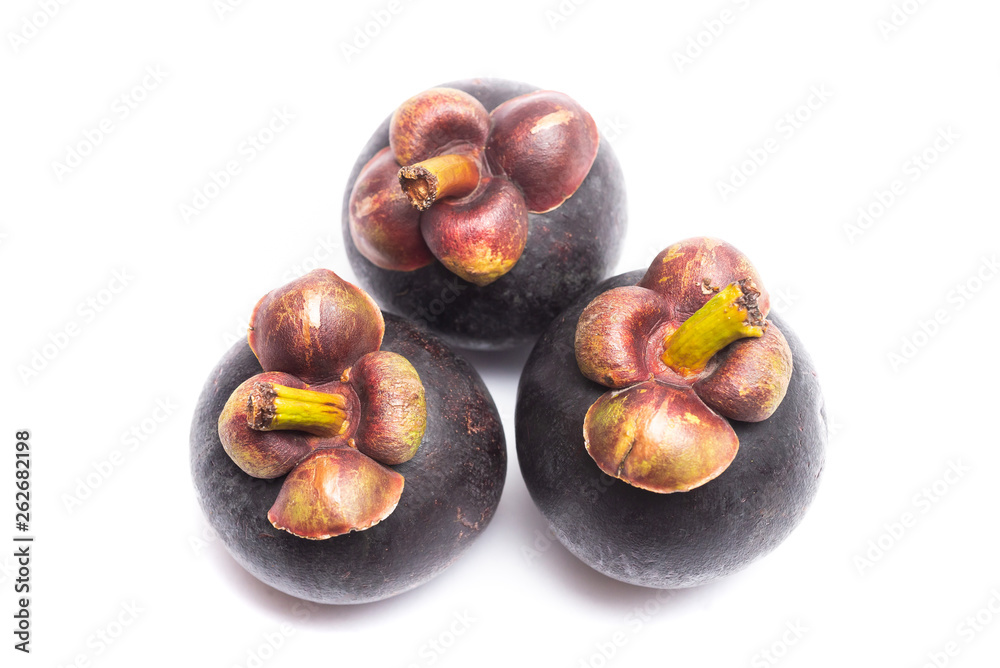 Group of mangosteen isolated on white background. Mangosteen is a queen of fruit in Thailand and asia fruit have a sweet. Fresh dark mangosteen background. Mangosteen is a popular fruit in Thailand. Group of mangosteen isolated on white background. Mangosteen is a queen of fruit in Thailand and asia fruit have a sweet. Fresh dark mangosteen background. Mangosteen is a popular fruit in Thailand.