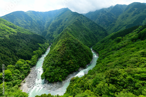新緑のひの字渓谷