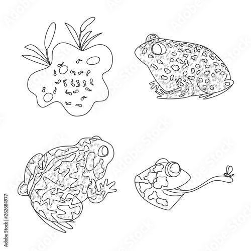 Isolated object of amphibian and animal symbol. Collection of amphibian and nature stock symbol for web.