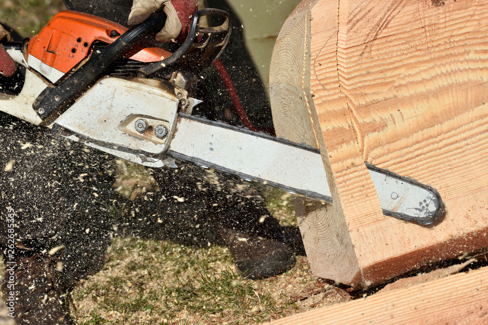 Chainsaw blade cutting log of wood