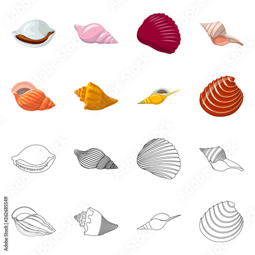 Vector illustration of animal and decoration icon. Collection of animal and ocean stock vector illustration.