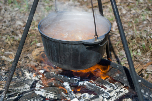 Cooking on a fire in spring.