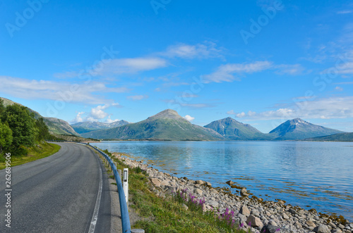 Road along the Tysfjorden in the Lofoten islands photo