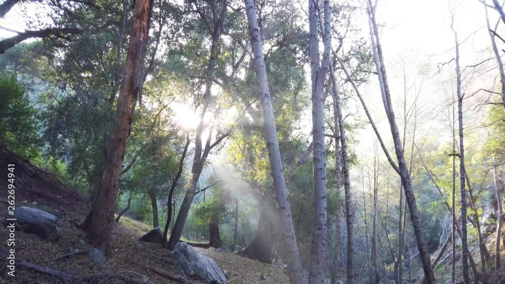 Out in nature at Switzer Falls in San Bernardino panning up as the sun goes down for the day. Out in nature at Switzer Falls in San Bernardino panning up as the sun goes down for the day.