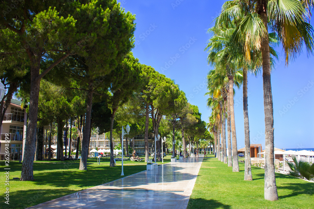 Obraz premium Palm Alley at the Hotel Alvadonna in Turkey at summer vacation - Turkey, Antalya, 07.17.2018