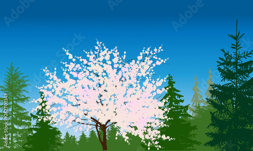 blossoming spring tree in green forest