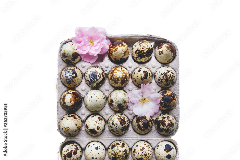 Eggs and blossom in box. Eggs and blossom in box.