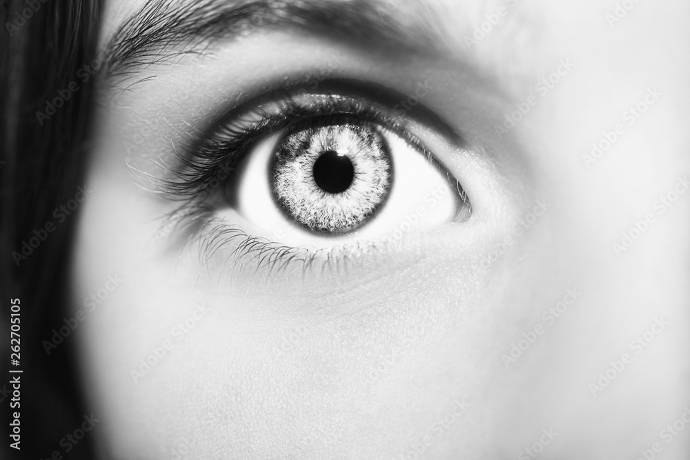 A beautiful insightful look eye. Close up shot A beautiful insightful look eye. Close up shot