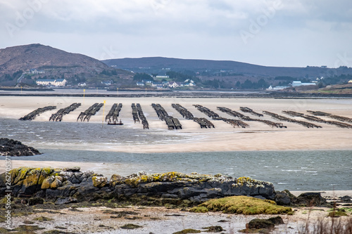Oyster farming and oyster traps, floating mesh bags by Carrickfinn in County Donegal, Ireland photo