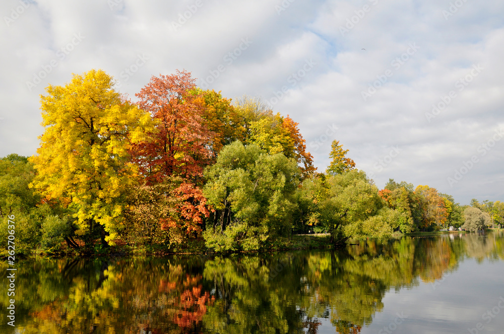 Autumn colorful landscape. Forest on the lake.