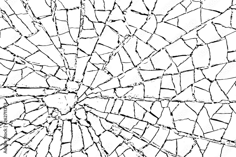 The cracks texture white and black. Vector background.Cracked earth ...