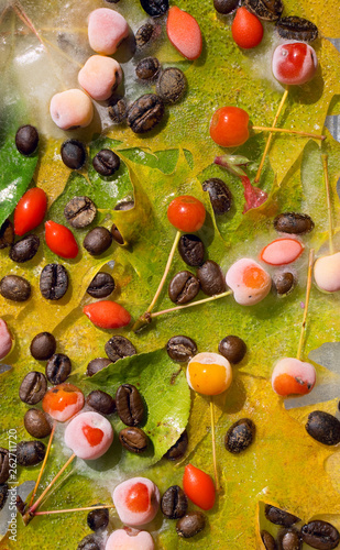 Background of  black coffee beans, red small apple, berry of goji and yellow leaves of maple   frozen in ice