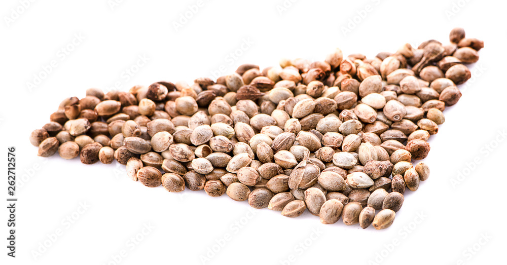 Hemp seeds on white background Hemp seeds on white background