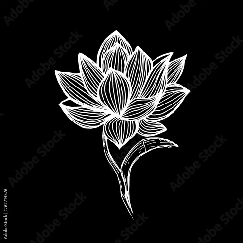 Lotus illustration made by freehand lines. Tattoo idea. Chalk on a blackboard.