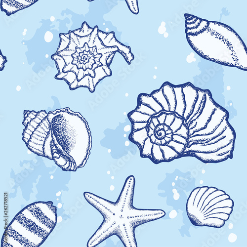 Seashells on a sea backgrou...