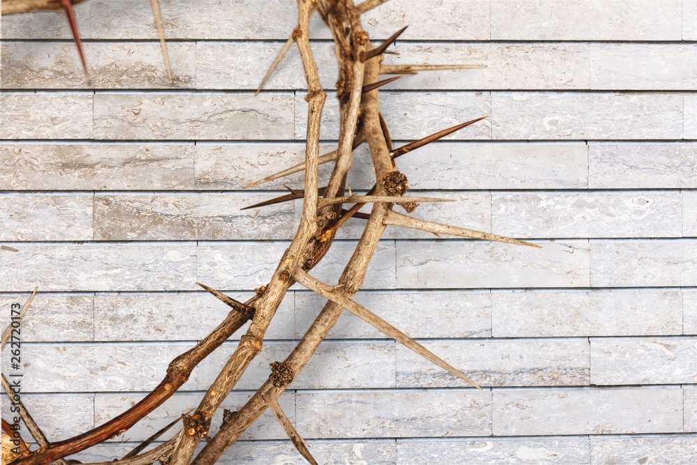 Crown of thorns on background ,represents Jesus's Crucifixion on the Cross, dying and then rising on Easter Sunday. Crown of thorns on background ,represents Jesus's Crucifixion on the Cross, dying and then rising on Easter Sunday.