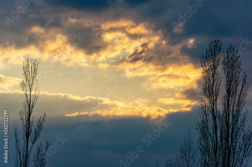 Blue sky at sunset with colorful clouds. Blue, yellow, white, gray and dark blue. Beautiful black silhouettes of deciduous trees. Nature concept for design