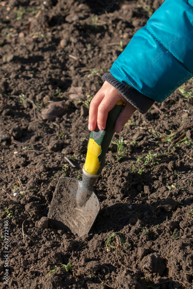 Children's hand working with a garden spatula Children's hand working with a garden spatula