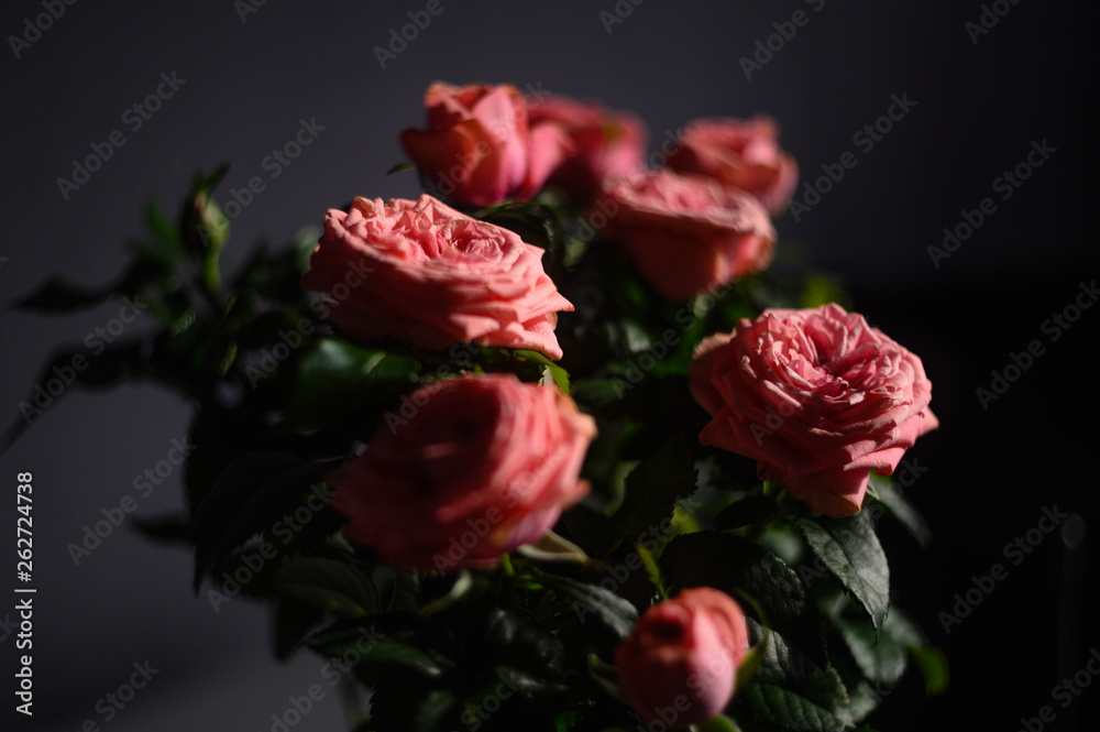 Red roses Red roses